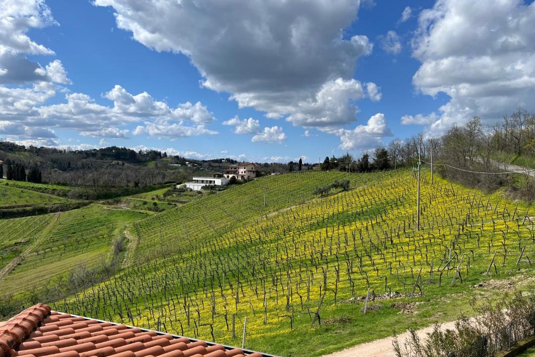 Photo of Others in Bertinoro