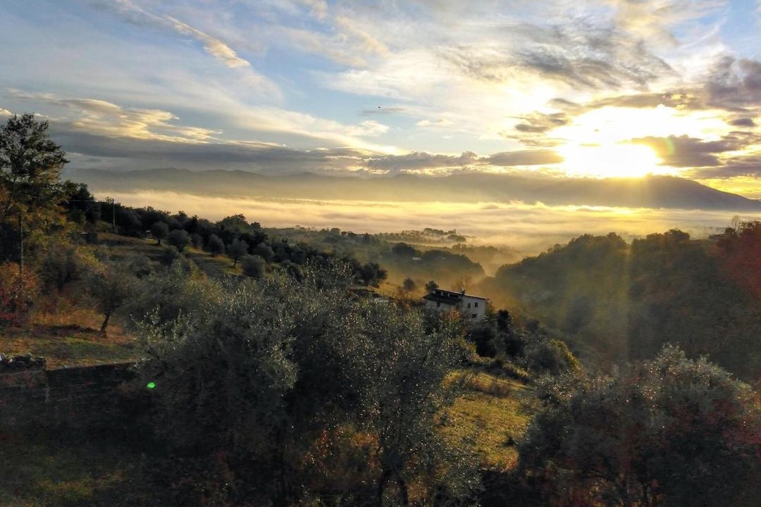 Photo of Others in Fiano Romano