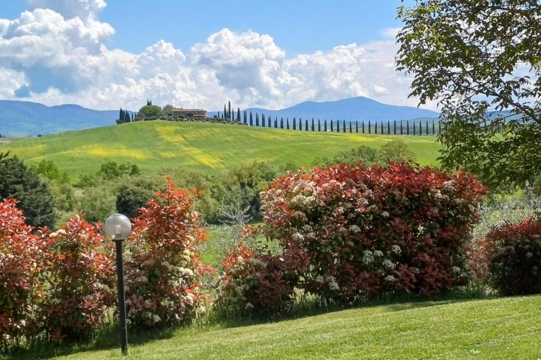 Photo of Others in Castiglione d'Orcia