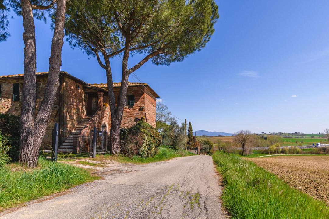 Photo of Others in Monte San Savino