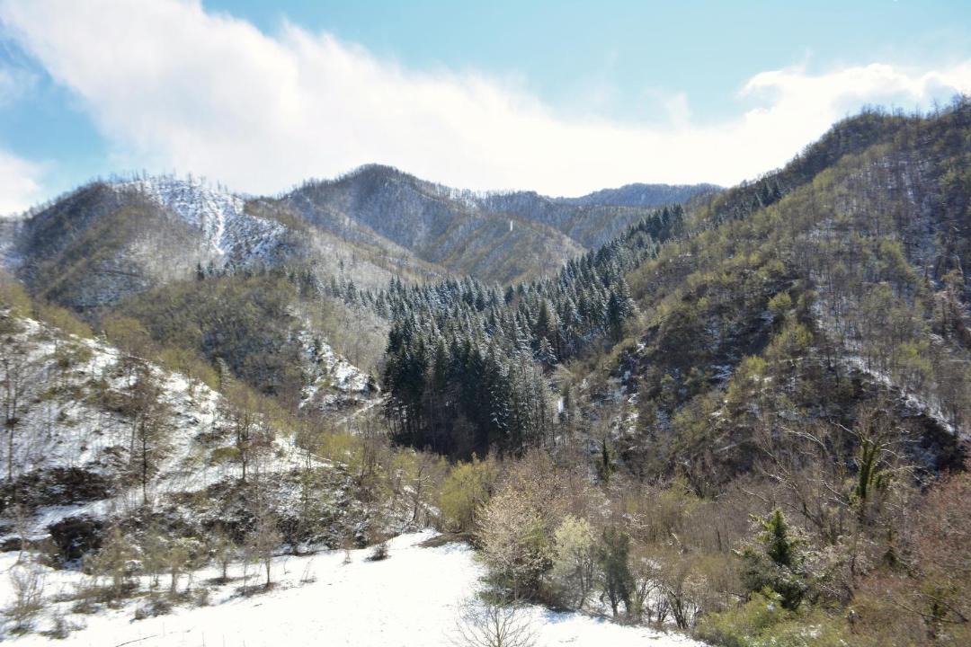 Photo of Others in Marradi