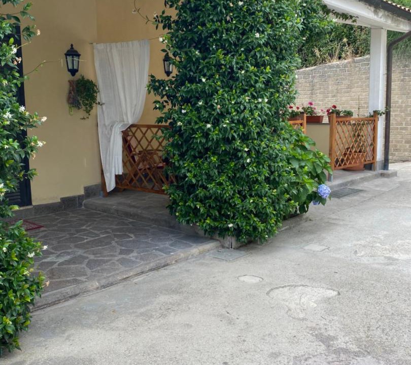Photo of Others in Sacrofano