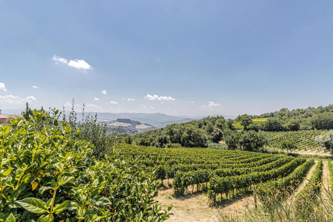 Photo of Others in Montecatini Val di Cecina