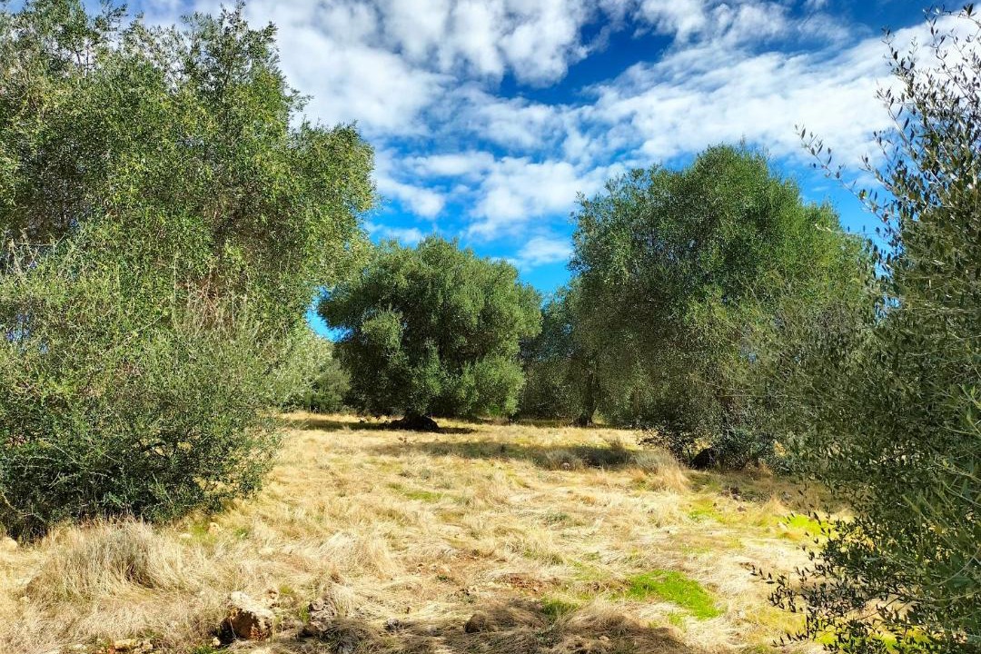 Photo of Others in Grosseto