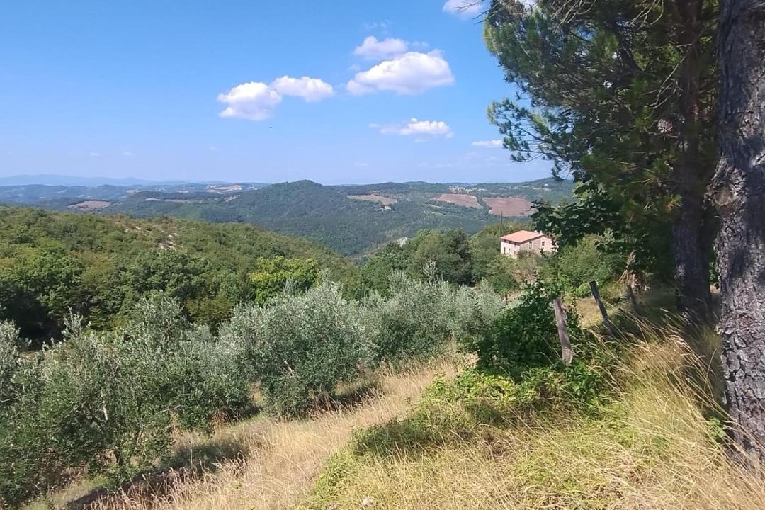 Photo of Others in Nerbisci