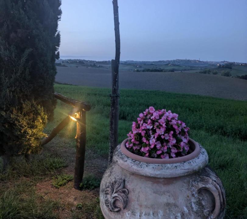 Photo of Others in Monteroni d'Arbia
