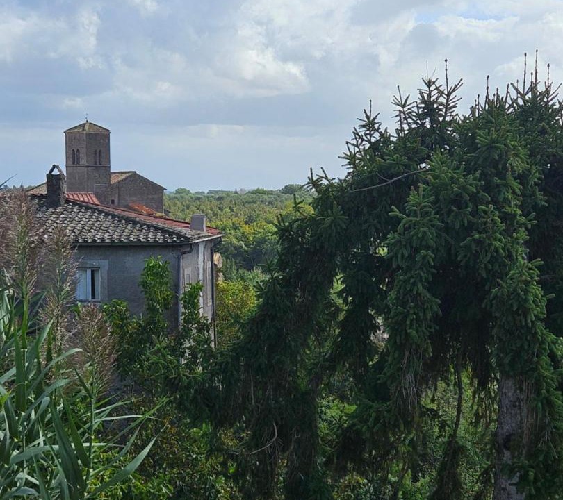 Photo of Others in Rignano Flaminio