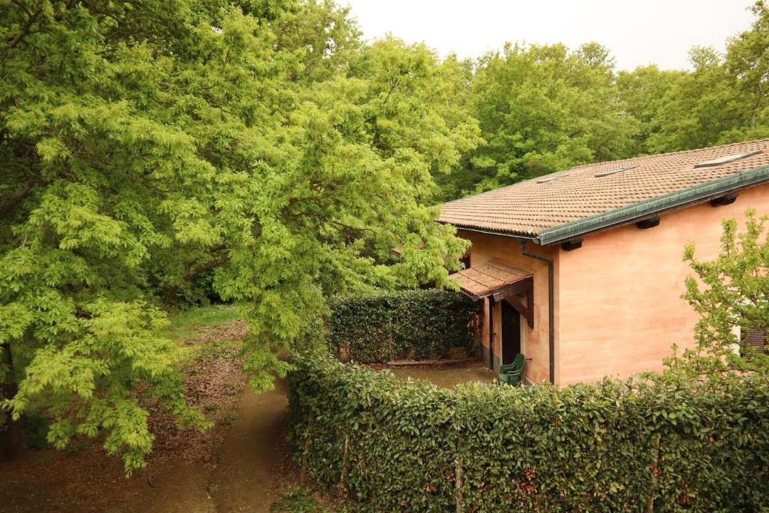 Photo of Others in Cerveteri