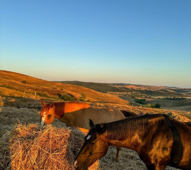 Photo of Others in Tuscania