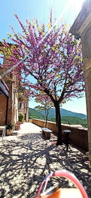 Photo of Others in Casperia