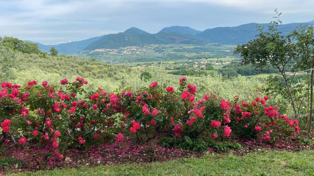 Photo of Others in Poggio Nativo