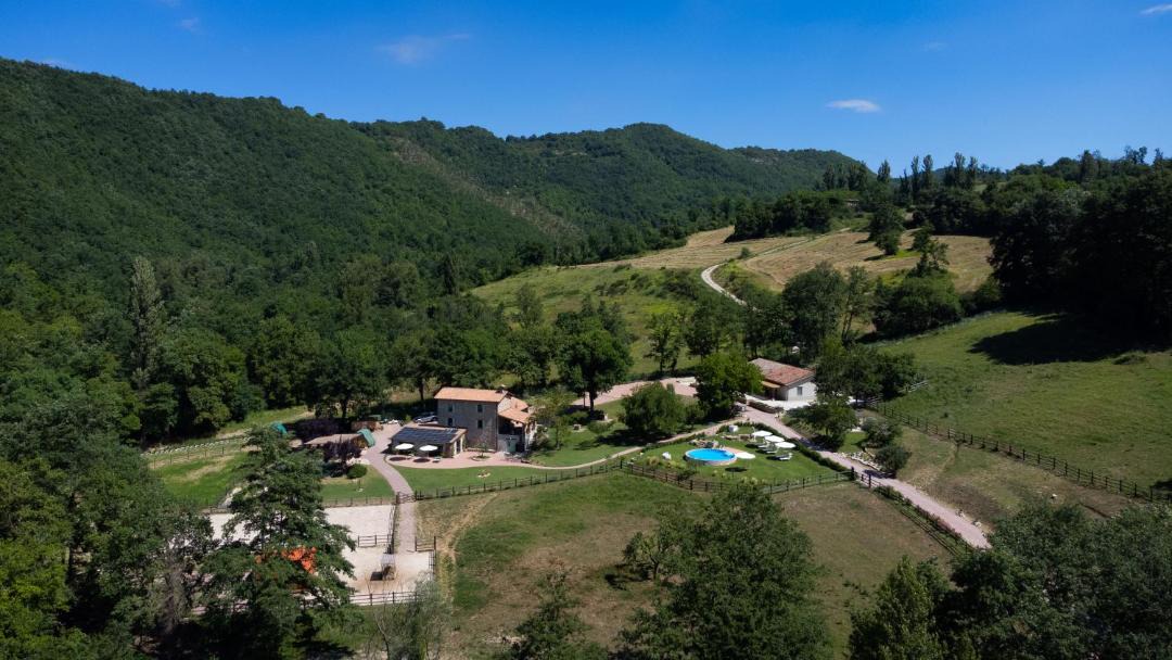 Photo of Others in Nerbisci