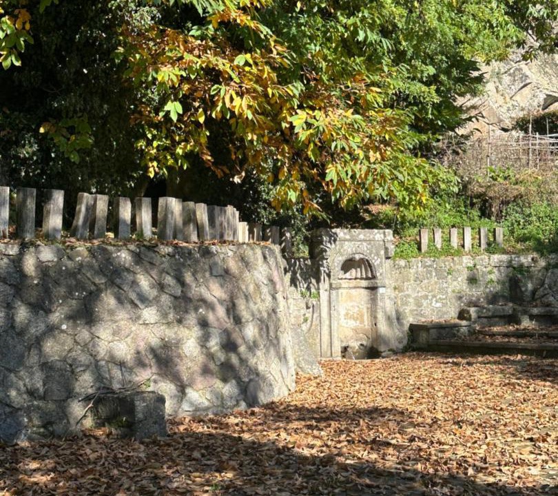 Photo of Others in Piancastagnaio