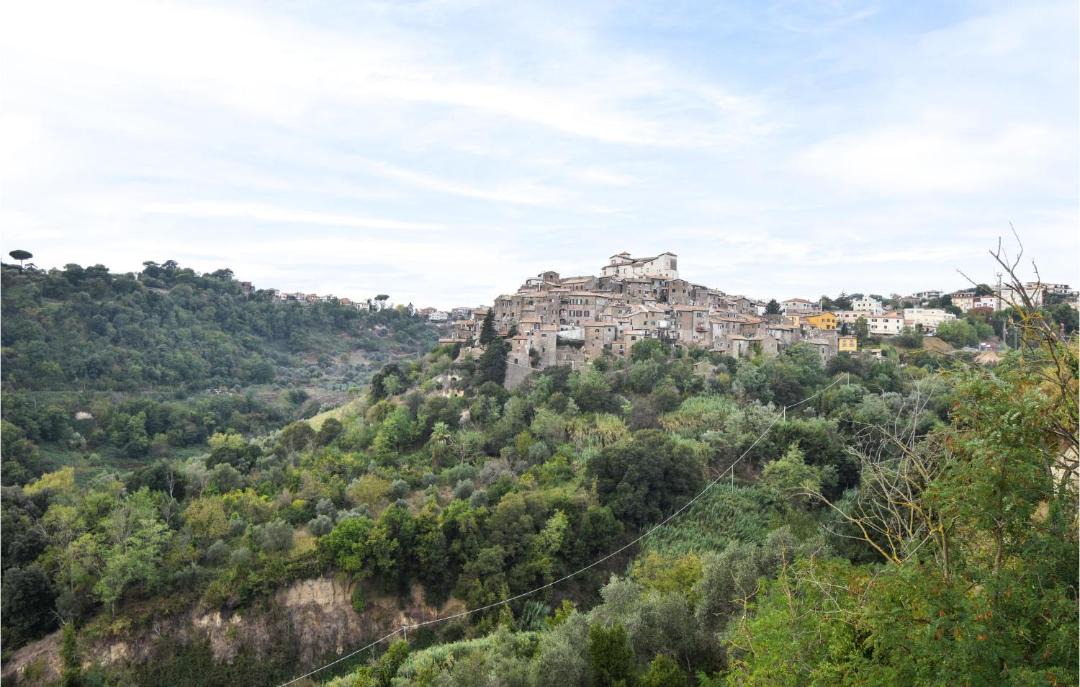 Photo of Others in Castelnuovo di Porto