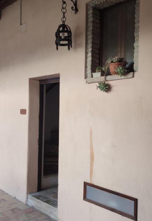 Photo of Others in Collevecchio