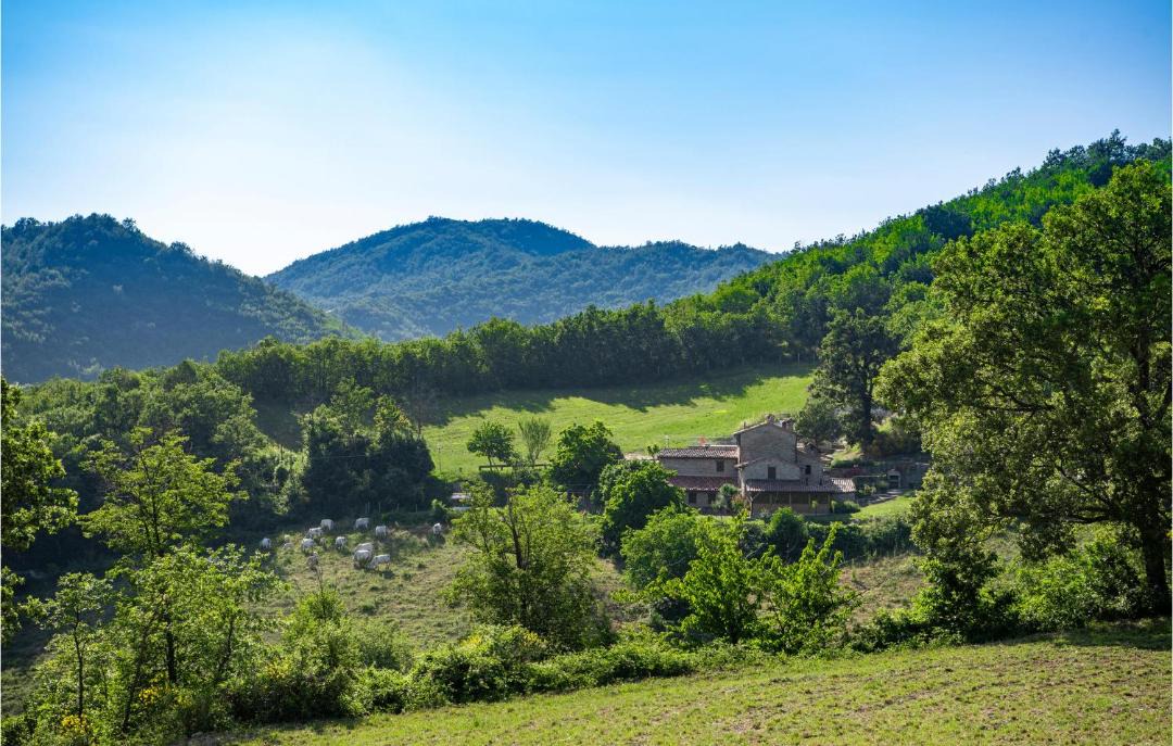 Photo of Others in Mercatello sul Metauro