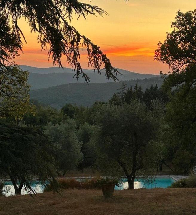 Photo of Others in Gaiole in Chianti