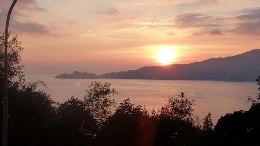 Photo of Outdoor in Zoagli