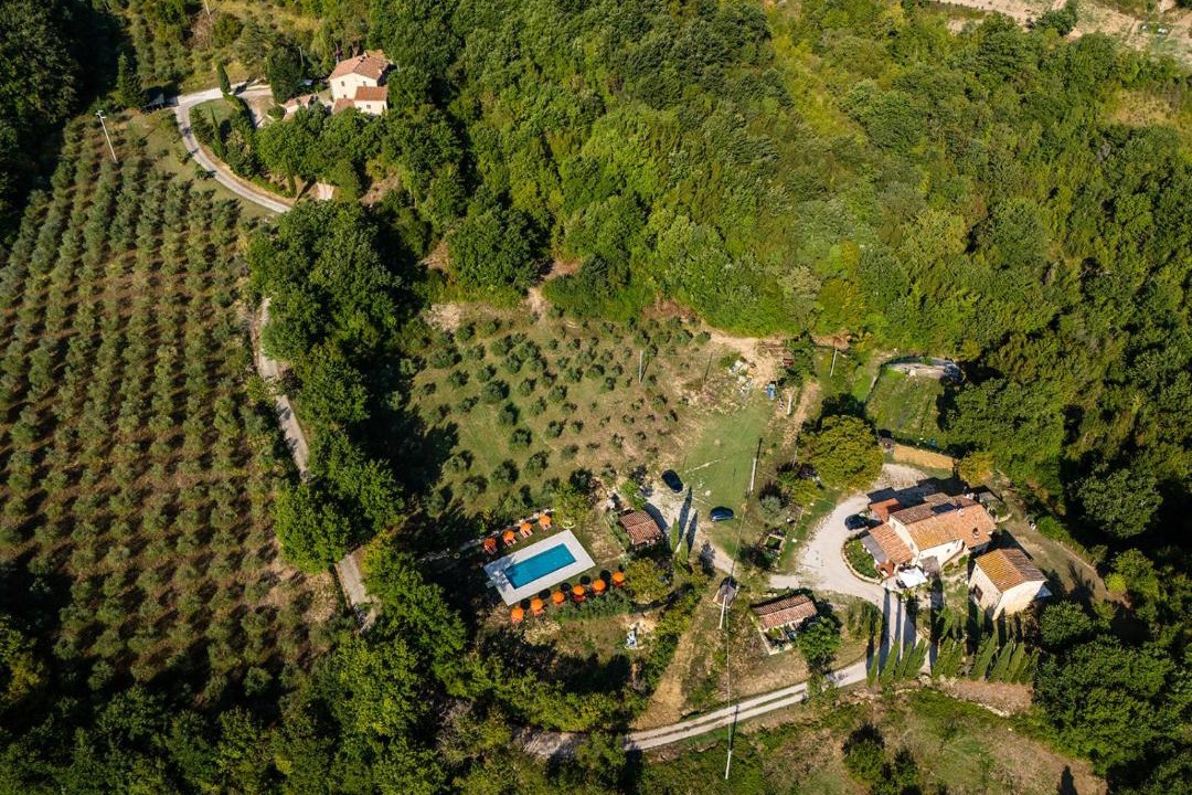 Photo of Others in Castelnuovo di Val di Cecina