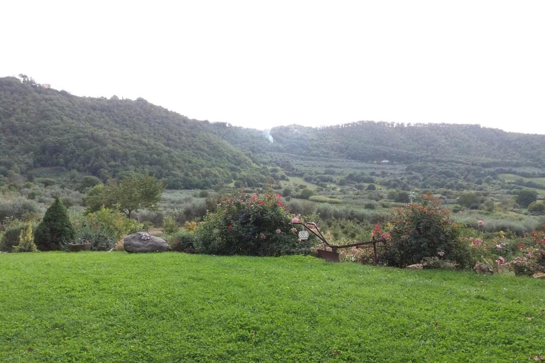 Photo of Others in Montefiascone