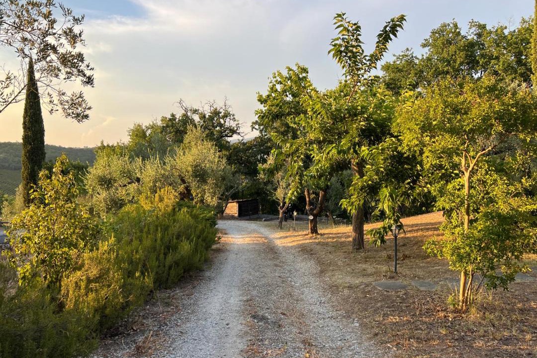 Photo of Others in Giove
