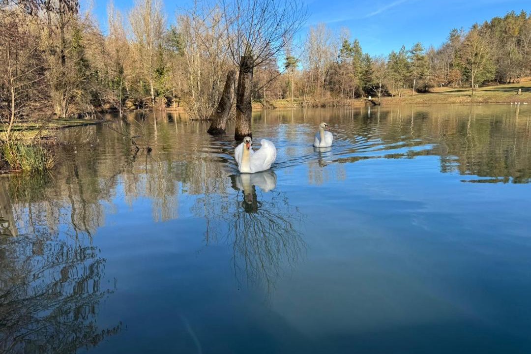 Photo of Others in Chiusi della Verna