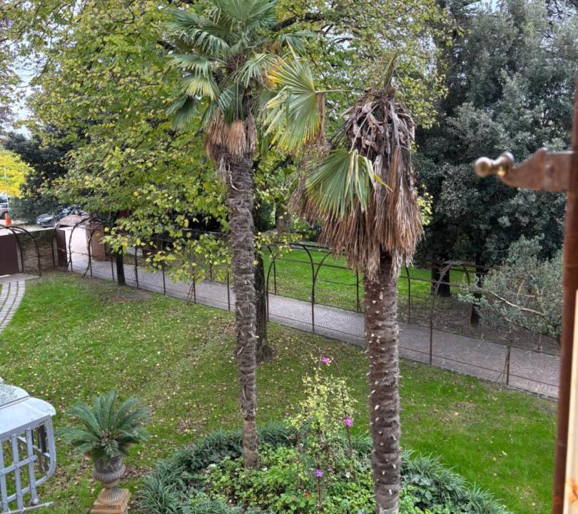 Photo of Others in Faenza