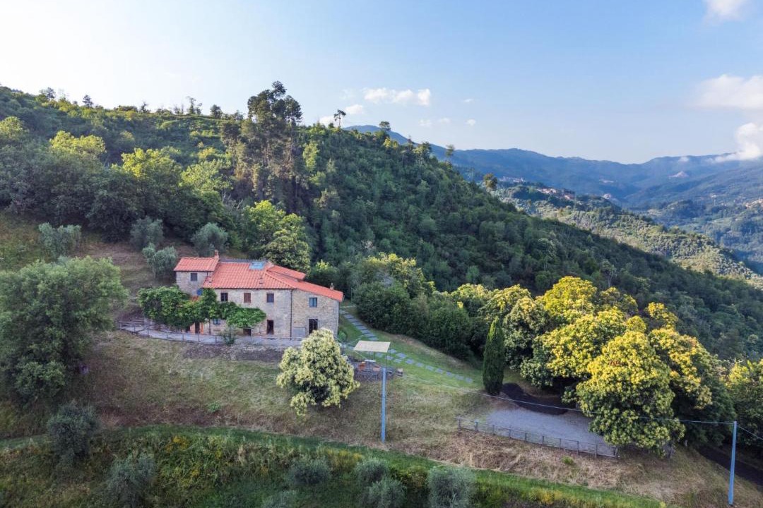 Photo of Others in Pescia