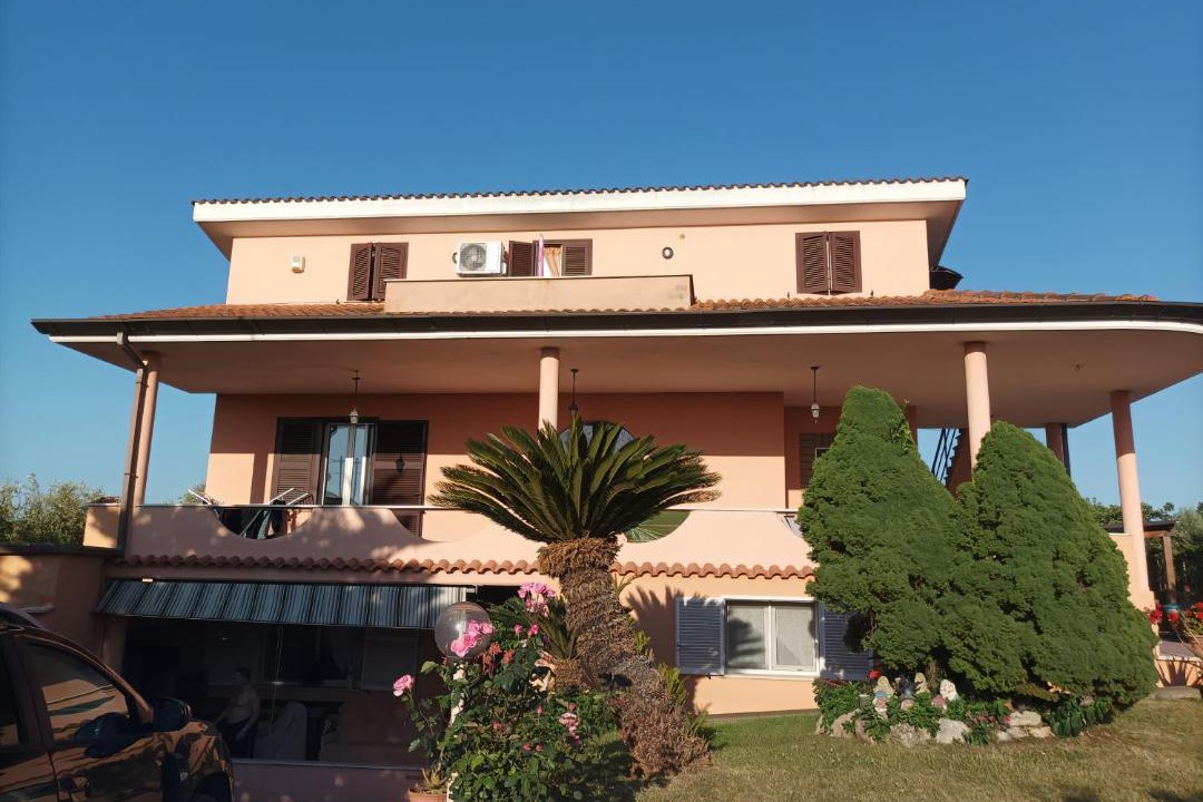 Photo of Others in Nettuno
