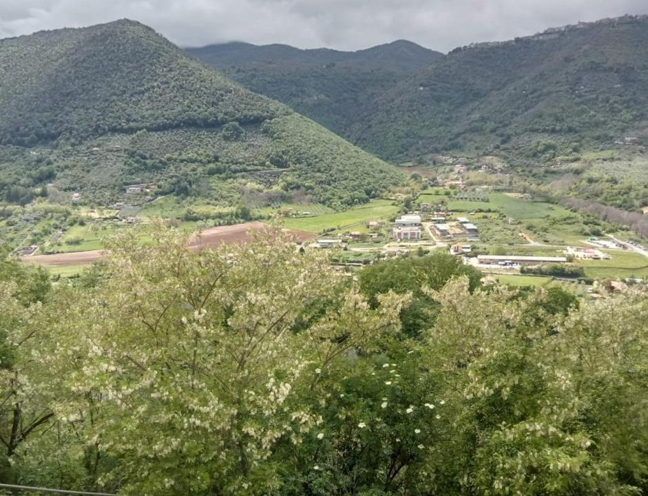 Photo of Others in Gavignano