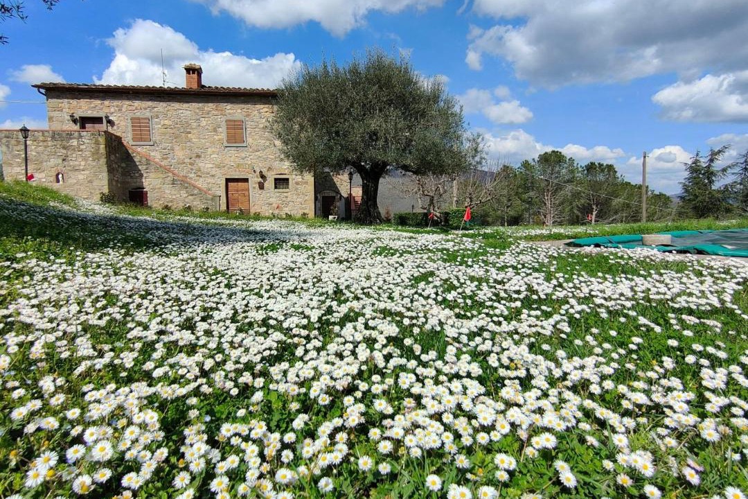 Photo of Others in Lisciano Niccone