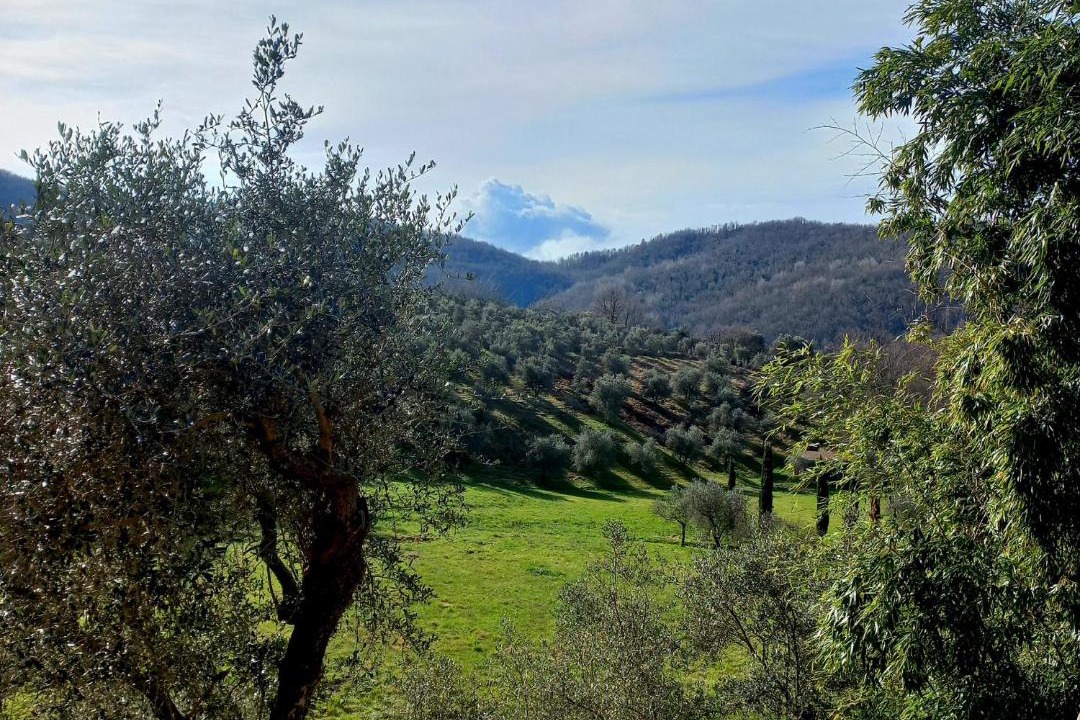 Photo of Others in Fivizzano