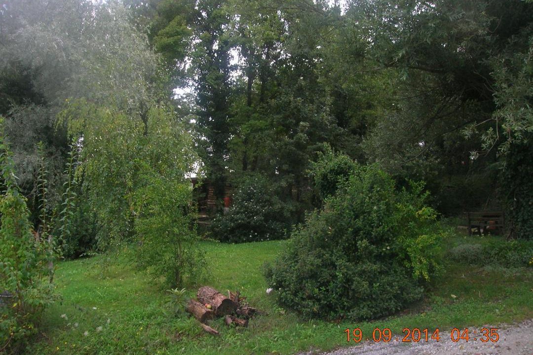 Photo of Others in Novafeltria