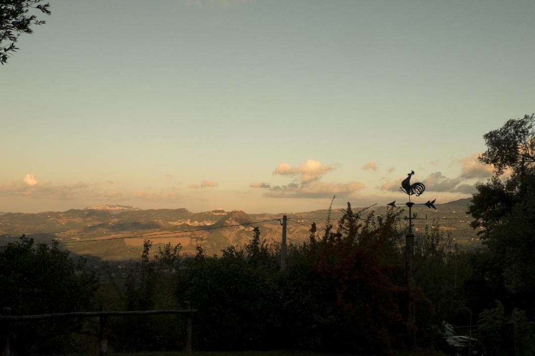 Photo of Others in Novafeltria