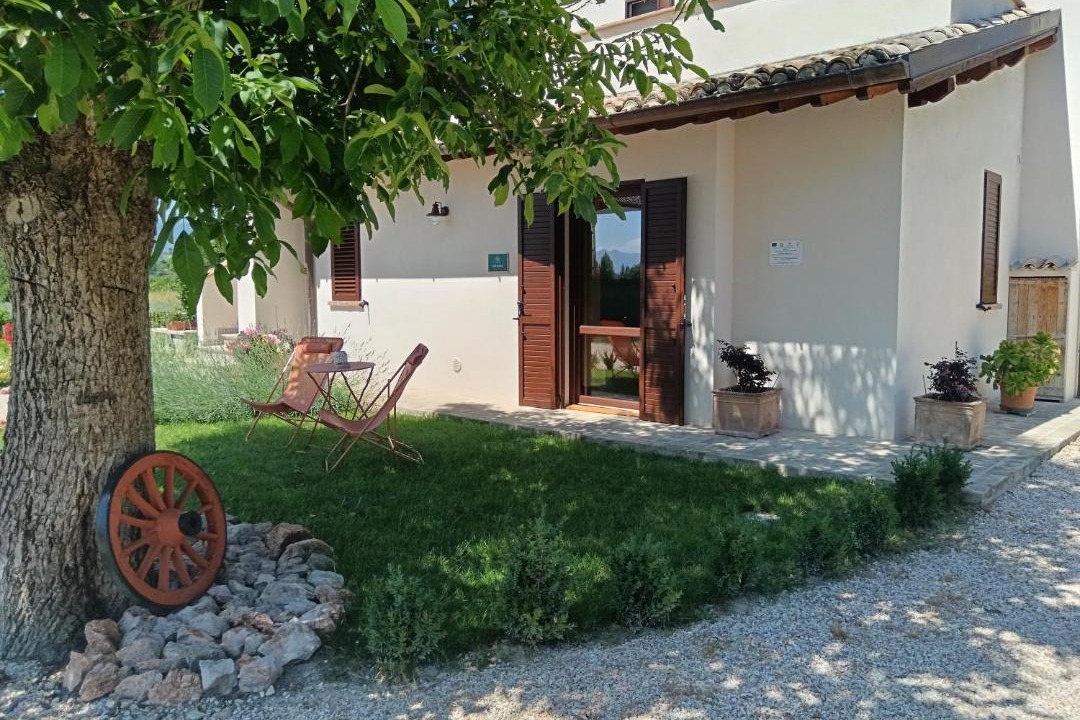 Photo of Others in Montefalco