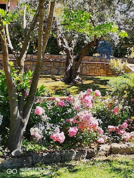 Photo of Outdoor in Santo Stefano di Magra