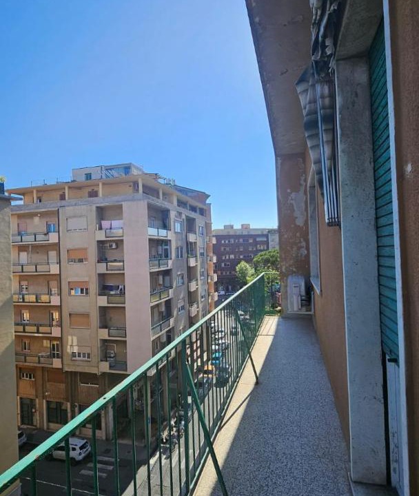 Photo of Others in Piombino