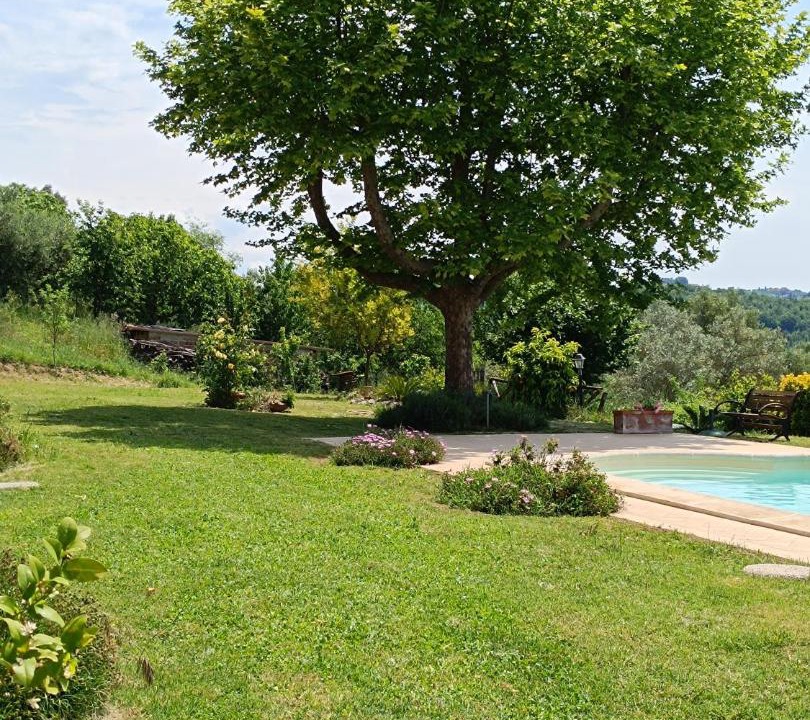 Photo of Others in Otricoli