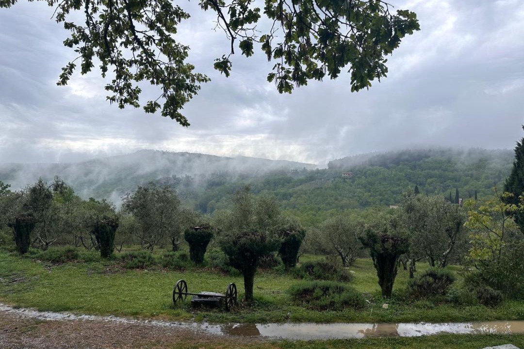 Photo of Others in Castellina in Chianti