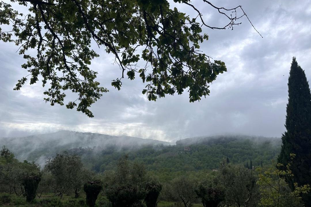 Photo of Others in Castellina in Chianti