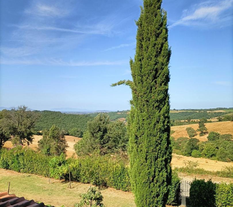 Photo of Others in Magliano in Toscana