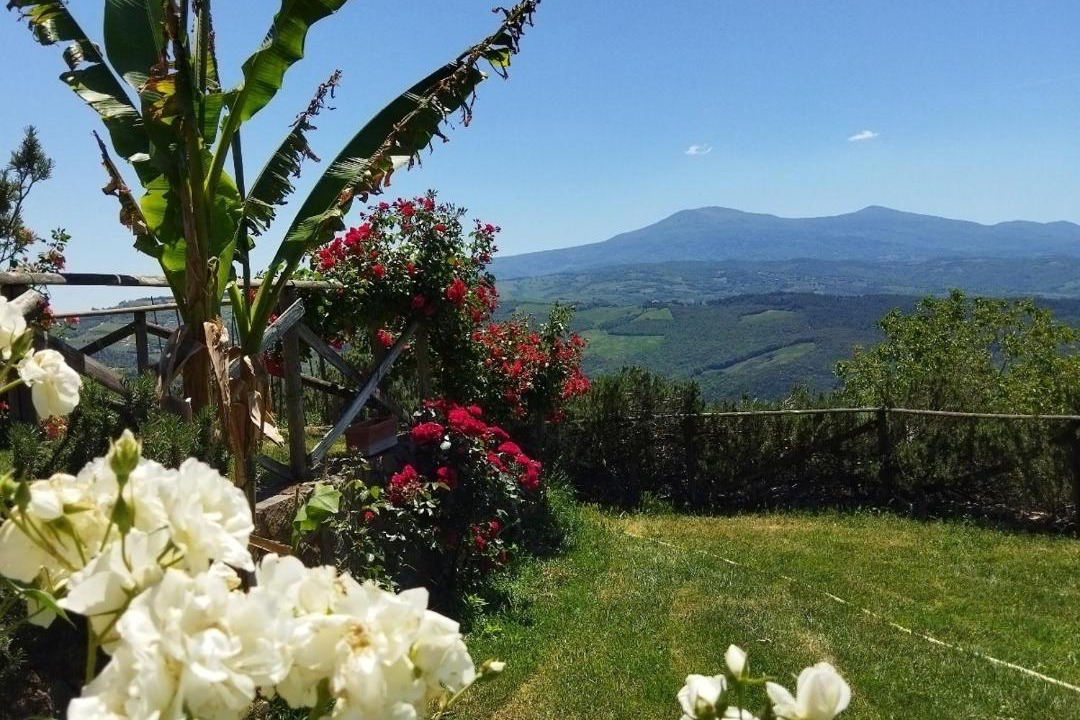 Photo of Others in Castiglione d'Orcia