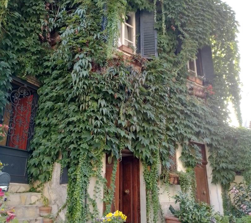 Photo of Others in Palestrina