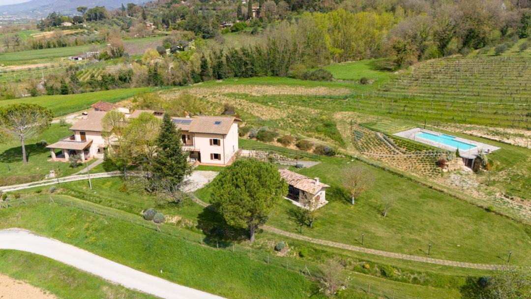 Photo of Others in Citta di Castello