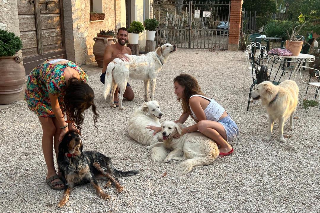 Photo of Others in Trevi