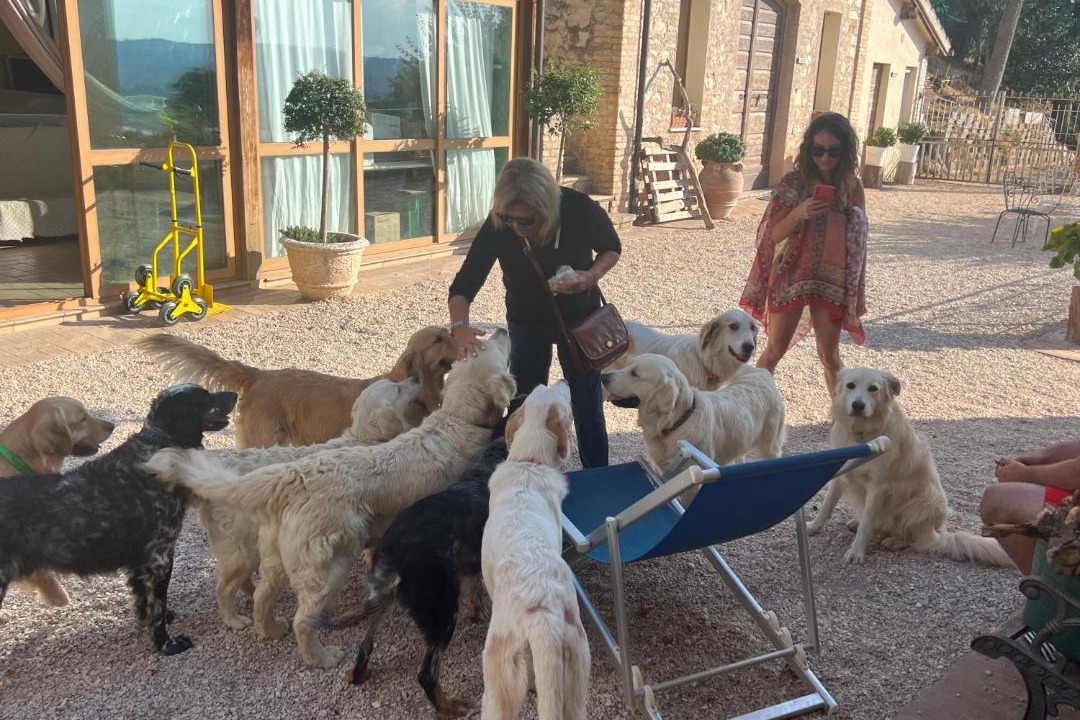 Photo of Others in Trevi