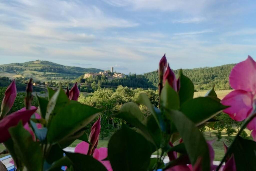 Photo of Others in San Venanzo