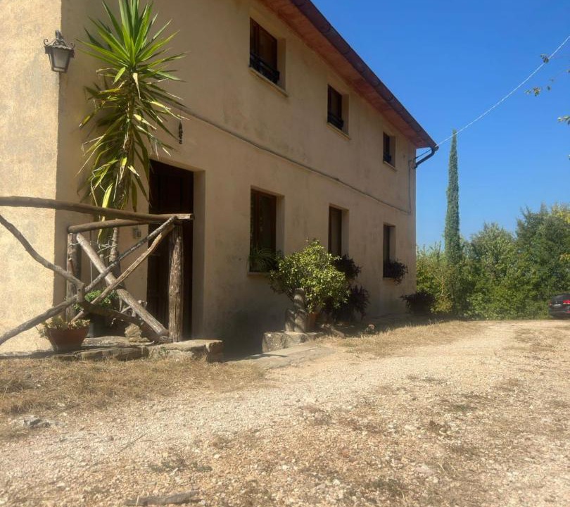 Photo of Others in Nerbisci