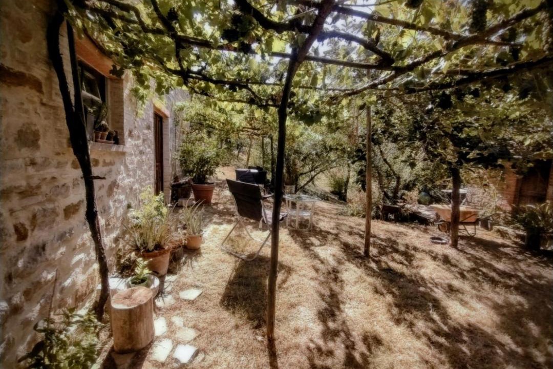Photo of Others in Nerbisci