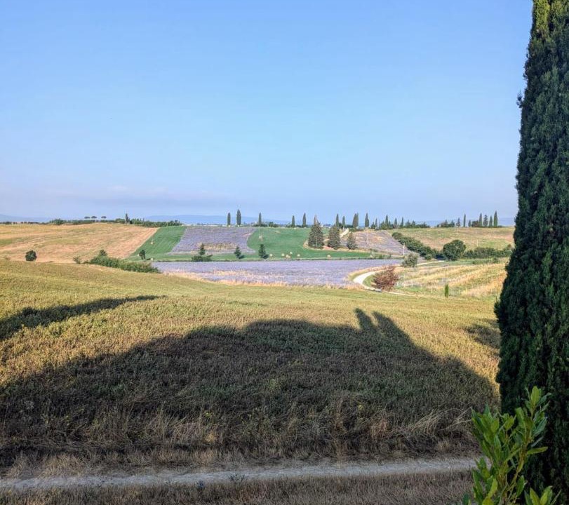 Photo of Others in Monteroni d'Arbia